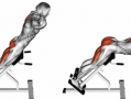 锻炼核心肌肉的意义 锻炼核心肌肉需要什么器材
