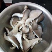 野蘑菇如何做好吃又简单