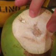 椰子怎么弄个洞