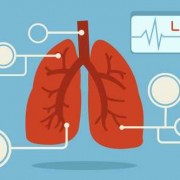 心肺是怎么工作的 心肺是什么样子的