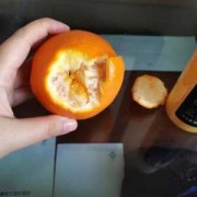 橙子剥了皮怎么保存-橙子剥皮如何保鲜