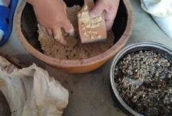 传统手工炒米饼制作方法
