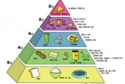 金字塔营养配餐食谱 每天如何金字塔饮食