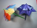 阳伞怎么折叠好看图片 阳伞怎么折叠好看