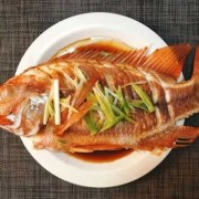 如何形容红鲷鱼肉质_红鲷鱼怎么吃