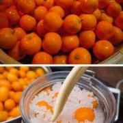 如何制作咸桔子