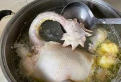 如何使鸡汤清澈_怎样才能让鸡汤的汤色澄清