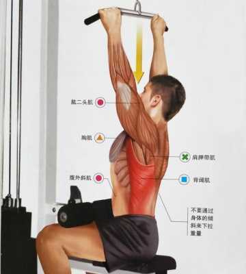 背肌训练要用到什么,背肌训练要用到什么肌肉  第1张