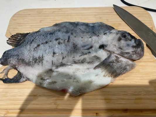 冰岛海参斑鱼如何烹饪好吃 冰岛海参斑鱼如何烹饪  第1张