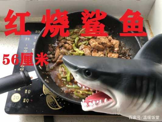 如何烹饪鲨鱼（如何烹饪鲨鱼视频教程）  第1张