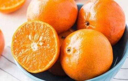 如何挑酸橘子（酸橘子怎么挑）  第1张