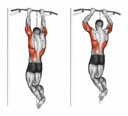引体向上练什么肌肉怎么通过其他练出来 引体向上练习什么肌肉  第2张