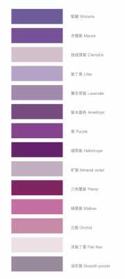 知政码紫色是什么意思 知政码紫色什么意思  第3张