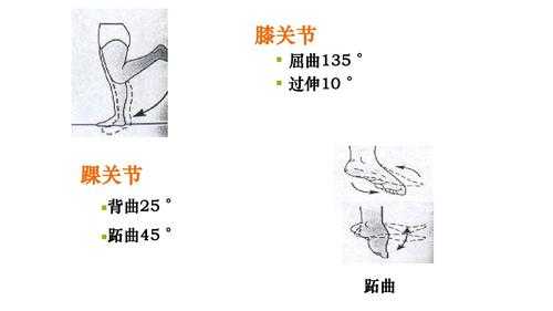 什么是膝关节前移（膝关节前屈后伸示意图）  第2张