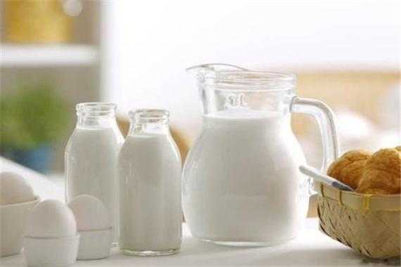  为什么牛奶减脂增肌「喝牛奶为什么减肥」 第1张