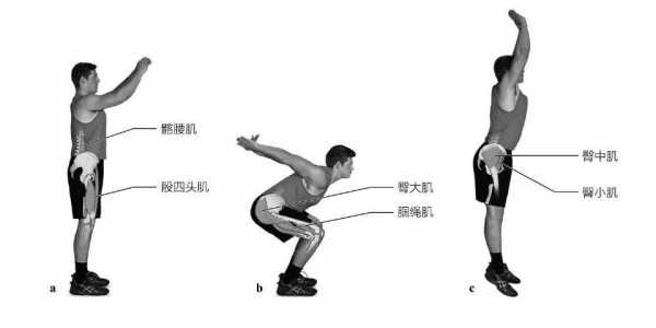 肌肉伸展是指什么_肌肉伸展是指什么运动  第1张