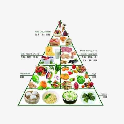 健身金字塔是什么意思（健身减肥食物金字塔）  第3张