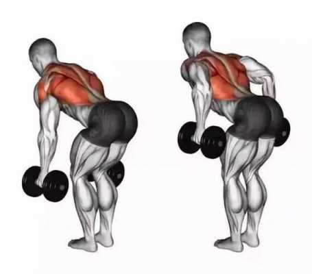 什么动作能够练背,什么动作可以练到背部肌肉  第2张