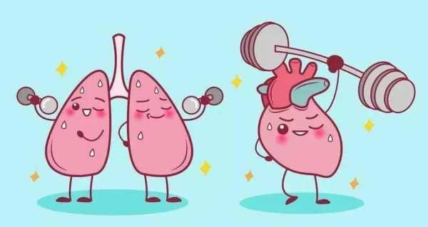 心肺耐力的运动是什么_心肺耐力的运动是什么意思  第2张