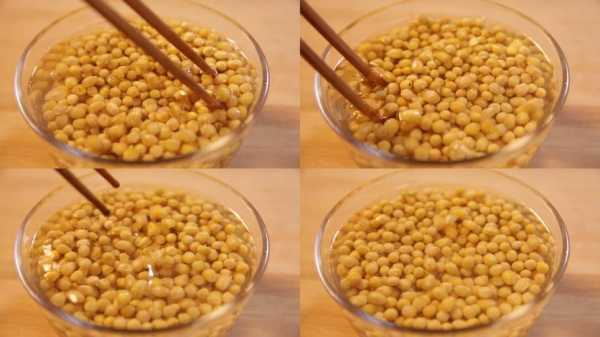黄豆如何制作方法视频  第1张