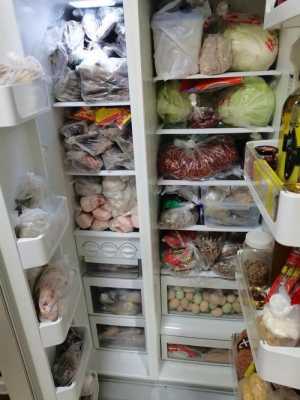 如何在冰箱里冻菜,冰箱冻的菜怎么化冻  第2张