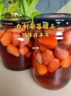 自制草莓罐头保存多长时间-如何自制草莓罐头  第1张