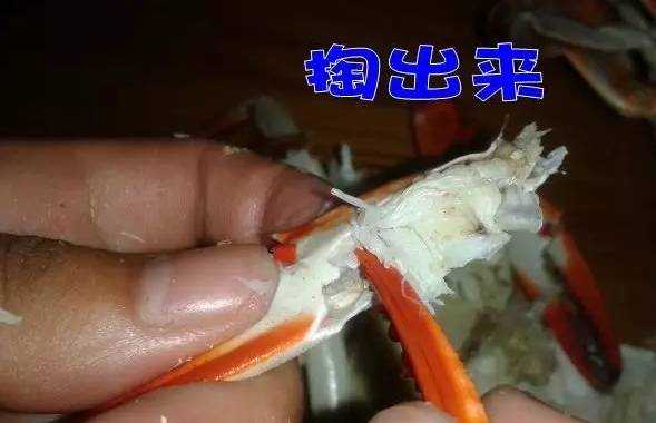 怎样取螃蟹肉教程  第1张