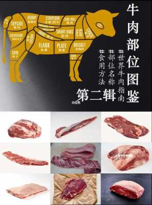 牛肉和牛里脊如何区分_里脊肉和牛肉  第2张