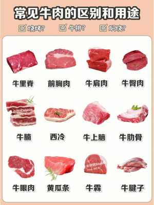牛肉和牛里脊如何区分_里脊肉和牛肉  第1张