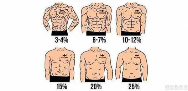 体脂率14为什么没看到腹肌-12%体脂为什么没有腹肌  第3张